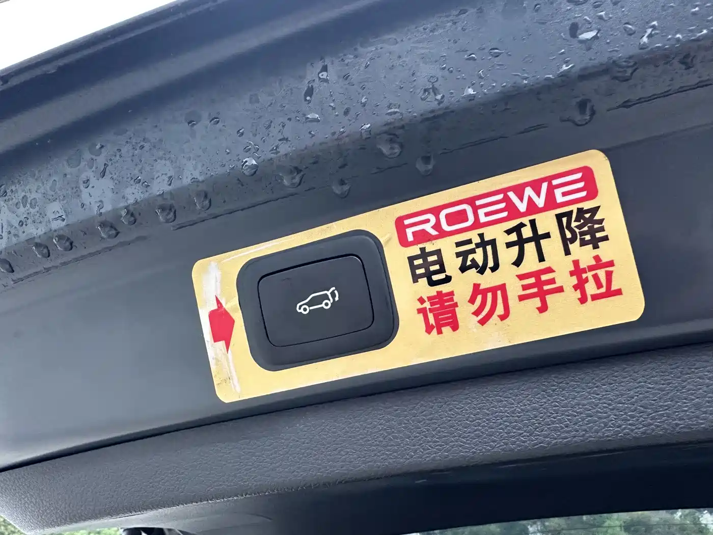 ROEWE RX5