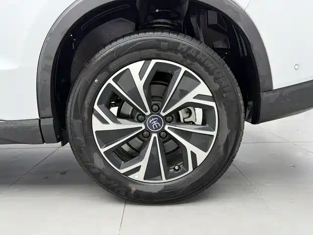 BYD Song Pro New Energy 2025 2nd Generation Smart Drive Edition DM-i 115KM Surpassing Type фото 19