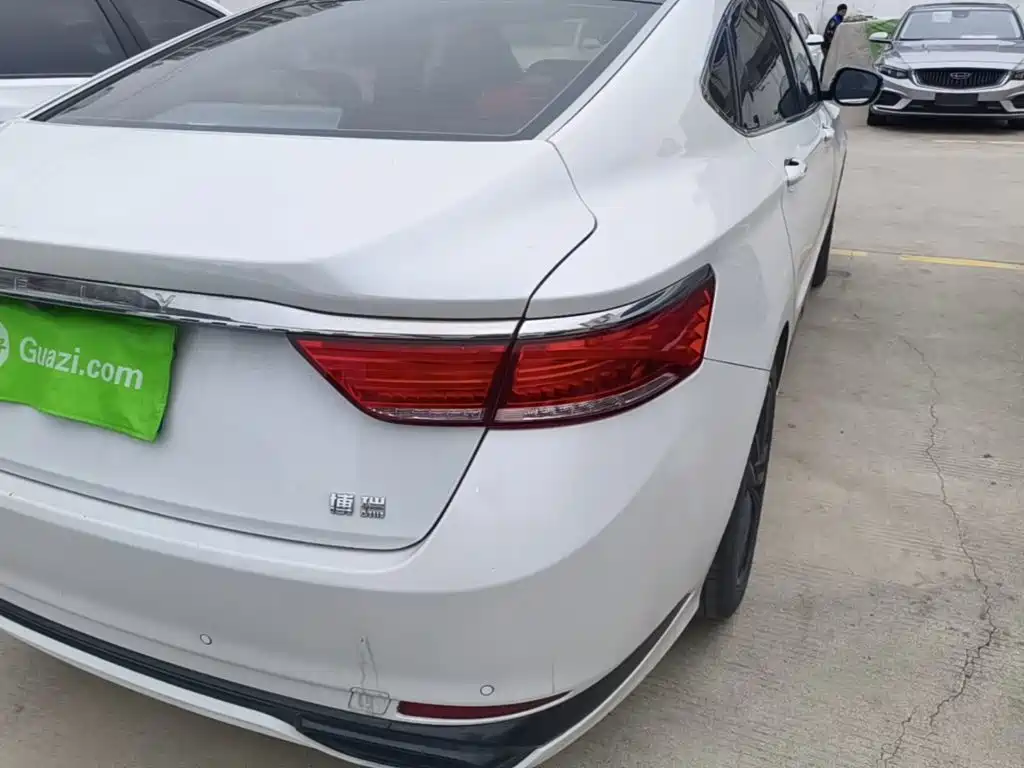 Фото 8 - Geely Borui
