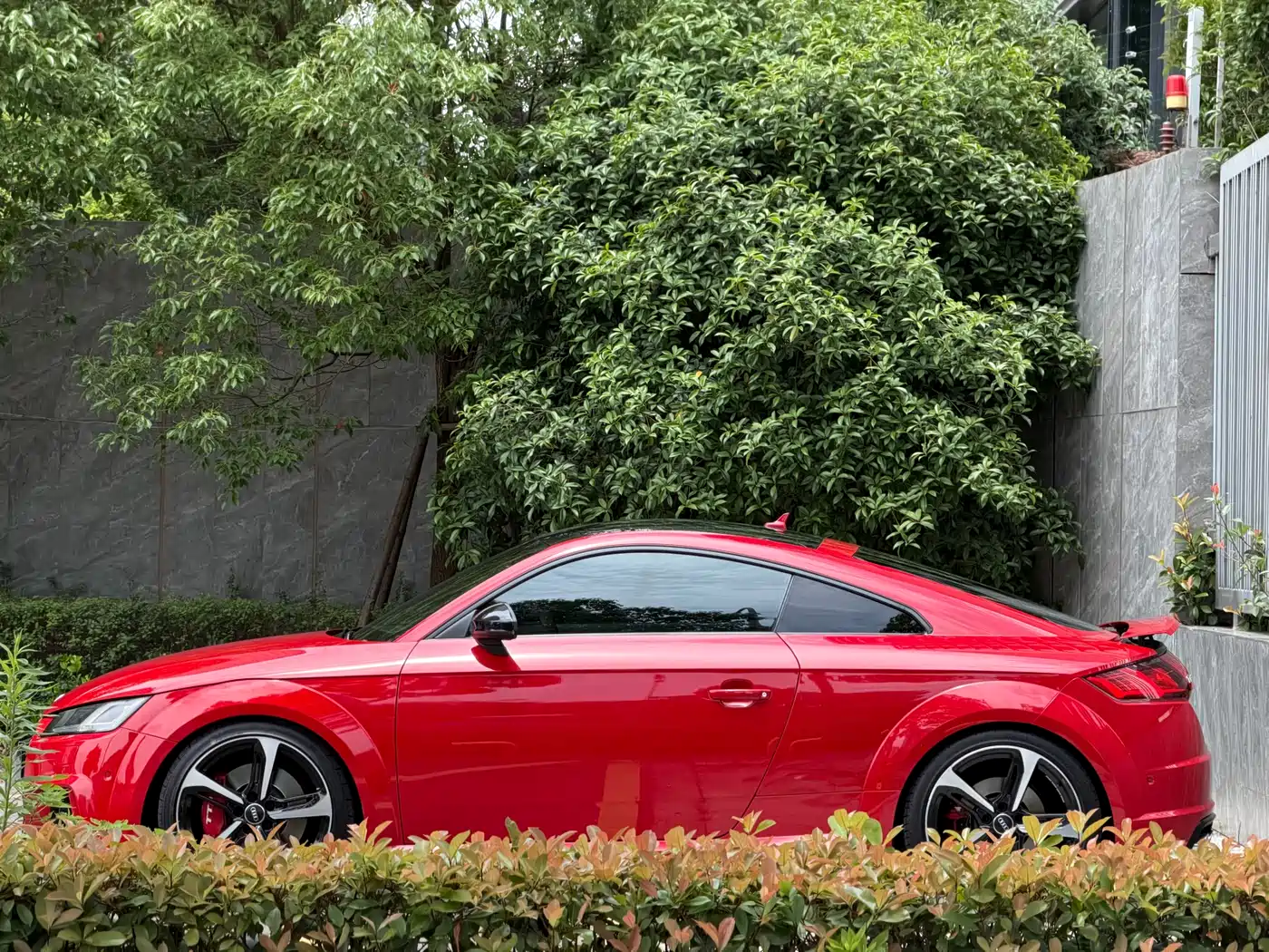 Audi TTS 2016 TTS Coupe 2.0TFSI quattro фото 4