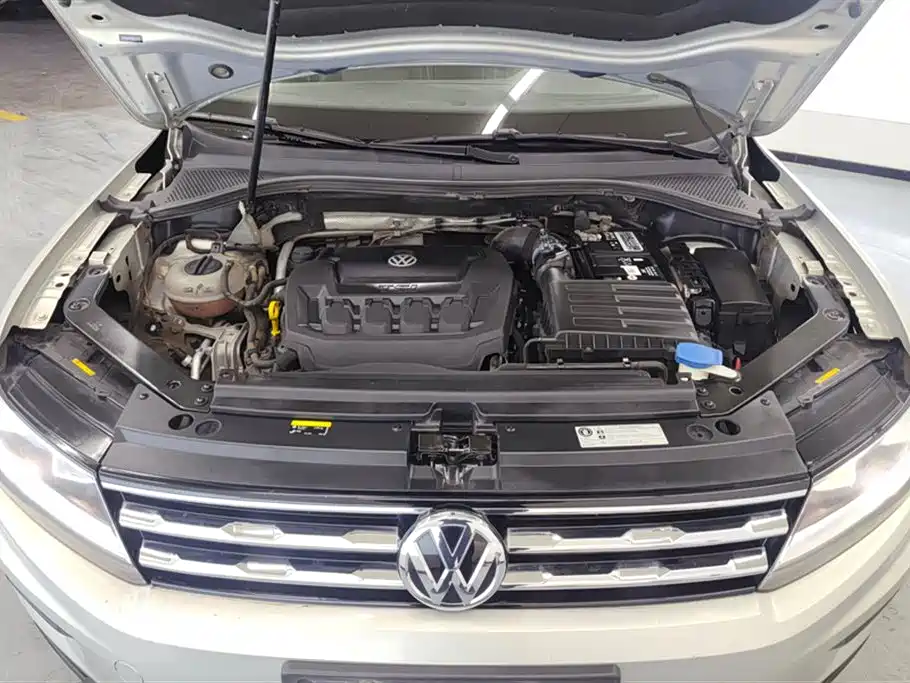 Volkswagen Tiguan L 2019 330TSI Automatic 2WD Smart Luxury Edition China VI фото 10
