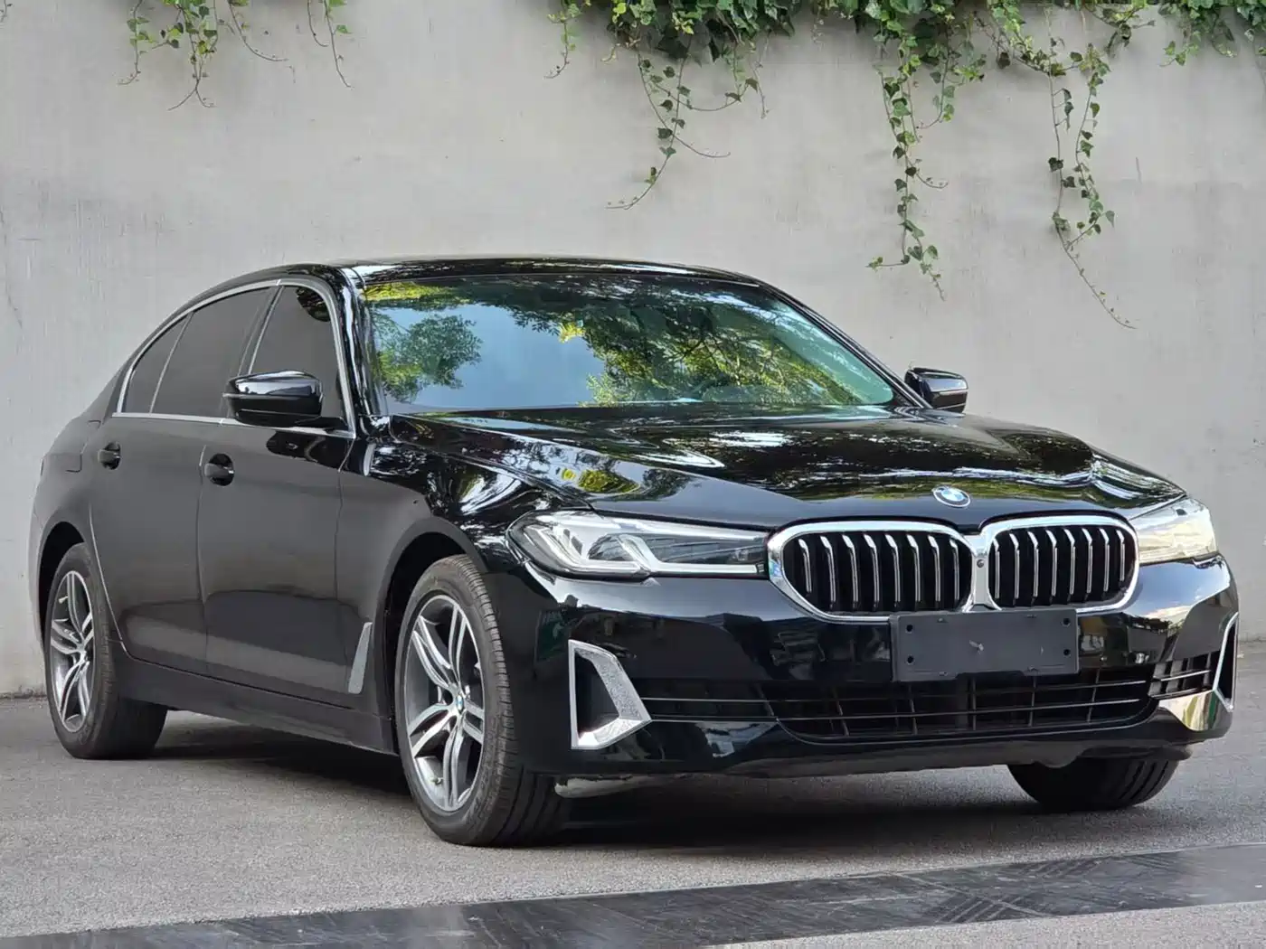 BMW 5 Series 2021 530Li Leading Luxury Package фото 3