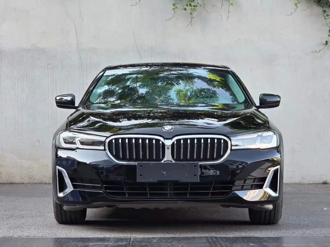 BMW 5 Series 2021 530Li Leading Luxury Package фото 2