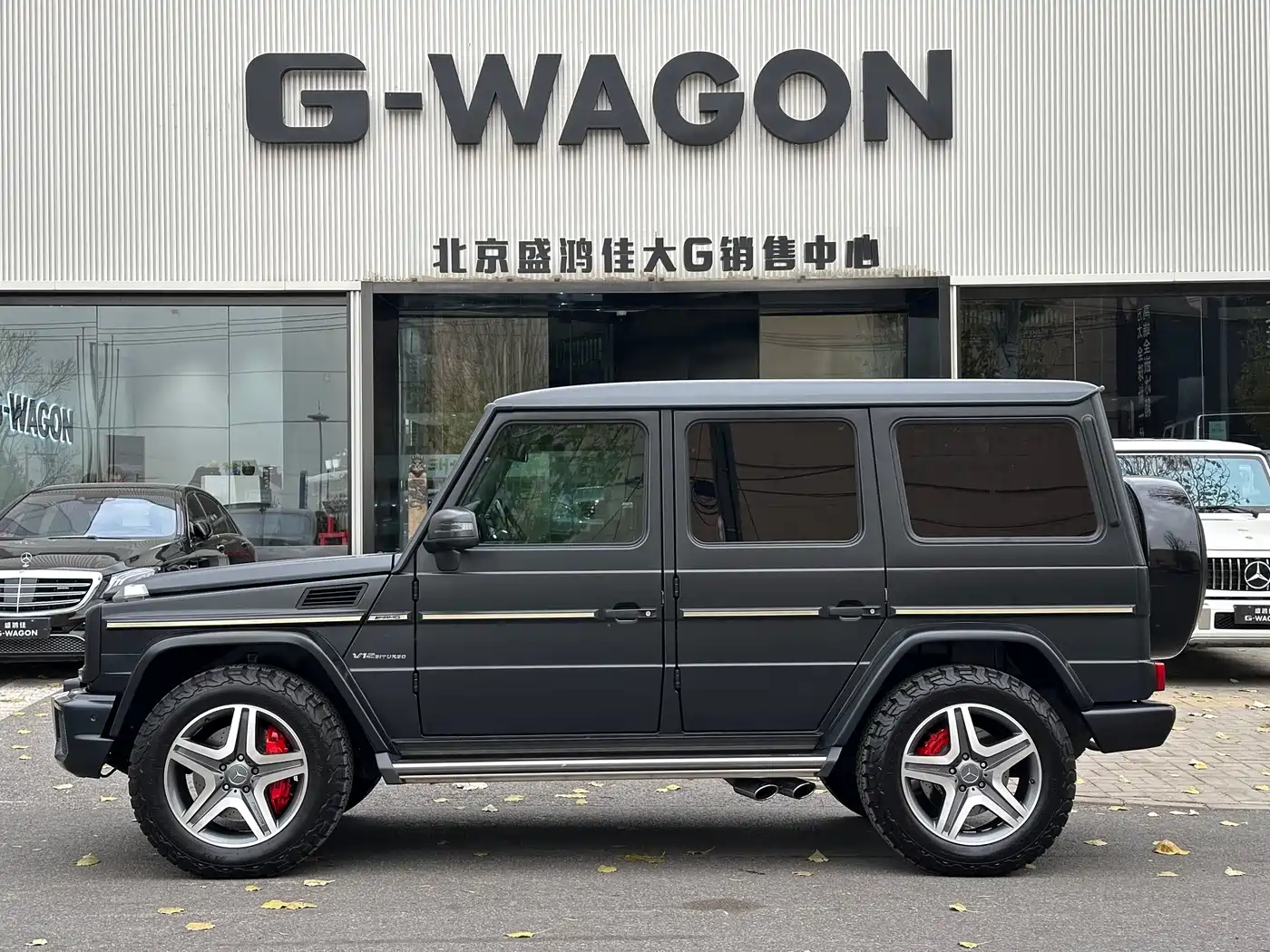 Mercedes-Benz G-Class AMG 2013 AMG G 65 фото 2