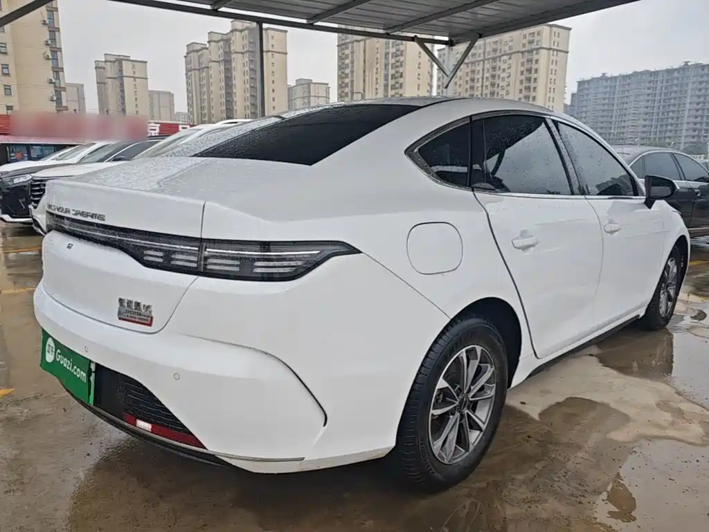 BYD Destroyer 05 2025 2024 Glory Edition DM-i 55KM Luxury