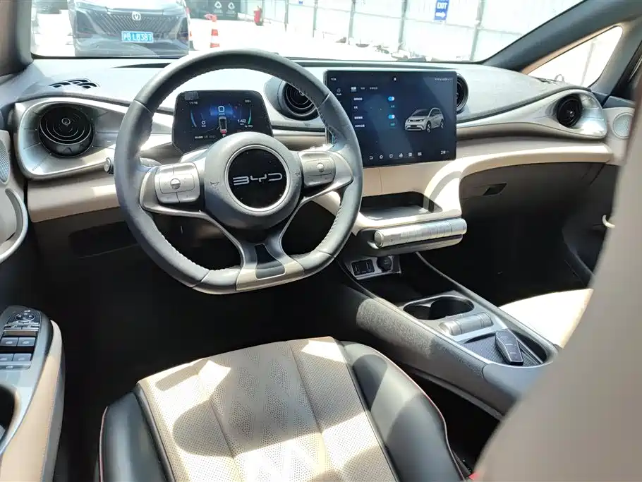 BYD Dolphin 2023 420km Fashion Edition фото 12