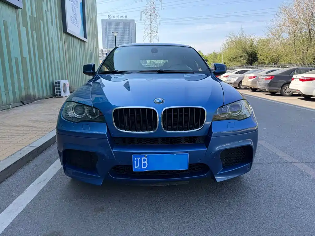 BMW X6 M 2010 2010 X6 M