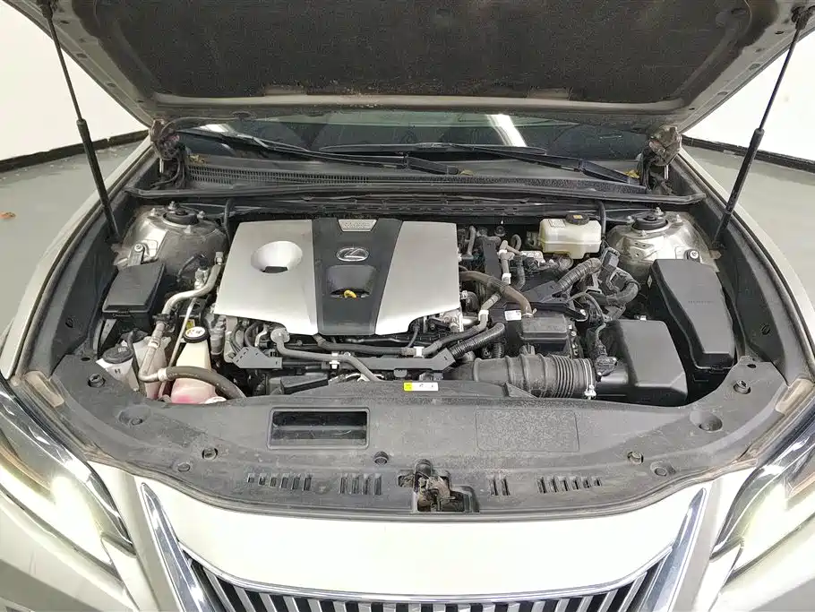 Lexus ES 2018 300h Executive Edition China V фото 10