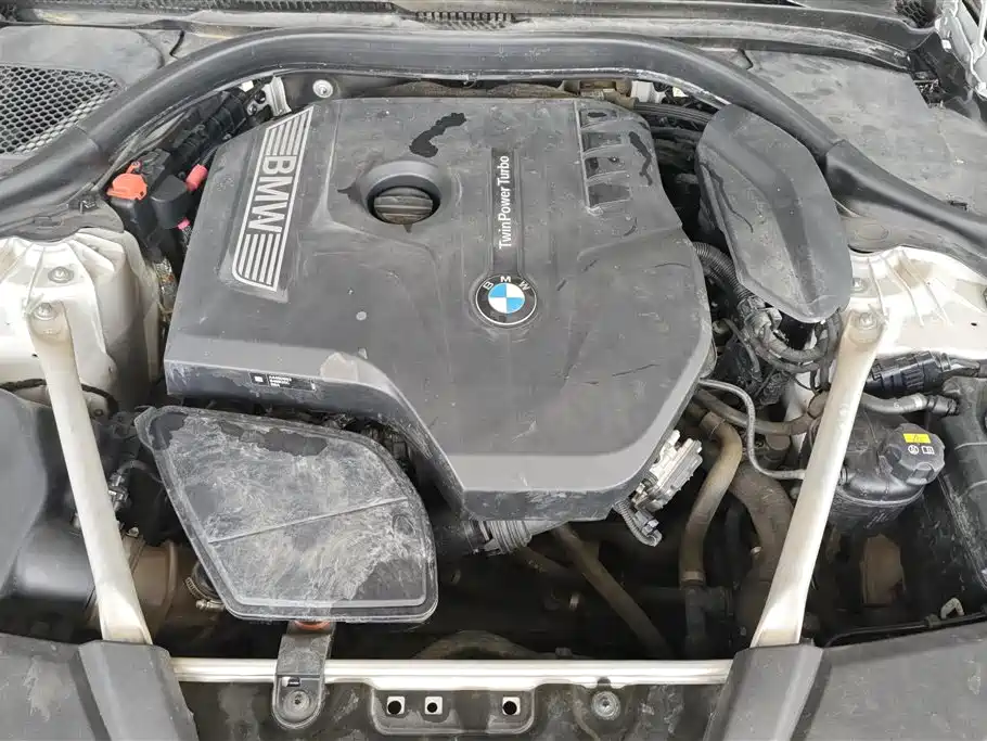 BMW 5 Series 2020 525Li M Sport Package фото 10