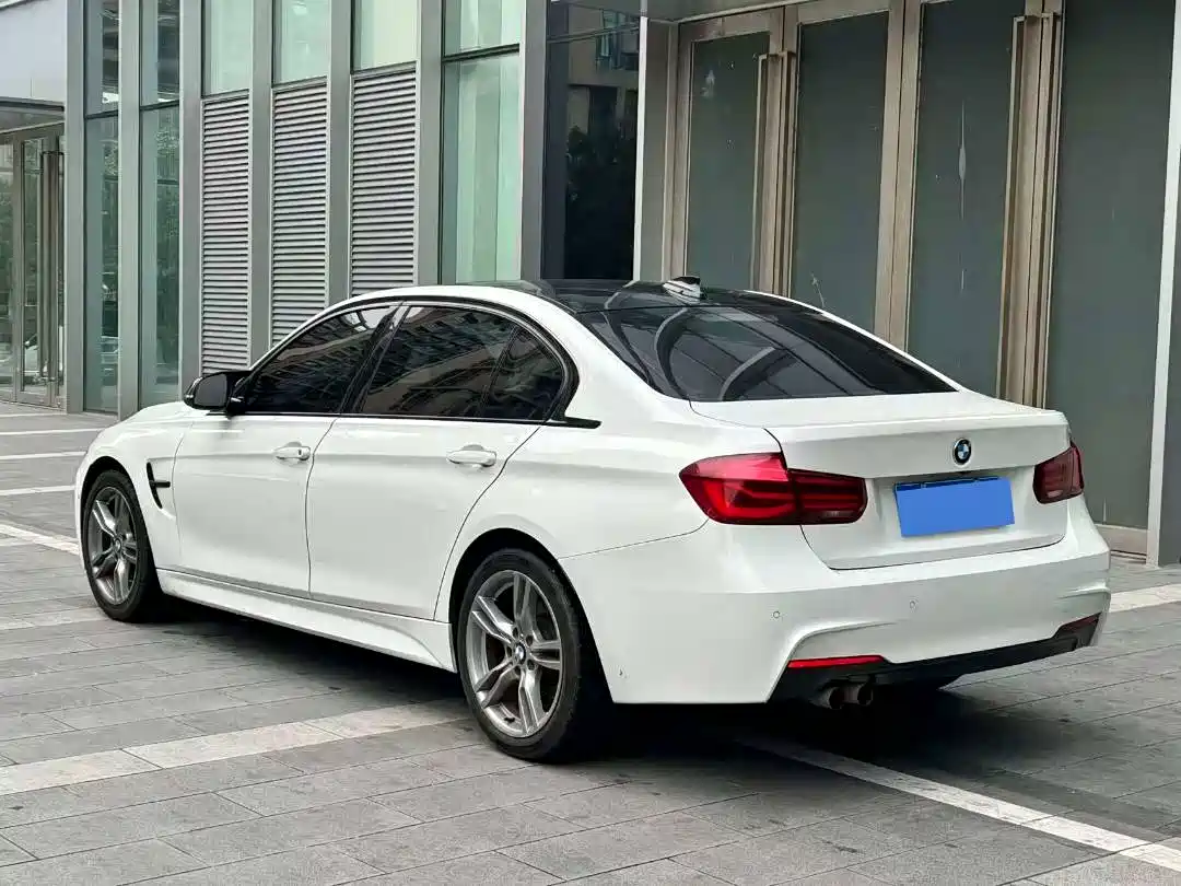 BMW 3 Series 2019 320Li M Sport Black Night Edition фото 5