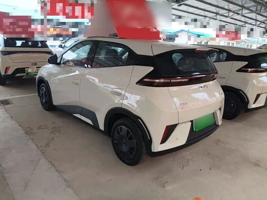 BYD Seagull 2026 2025 Smart Drive Edition 305km Vitality Version