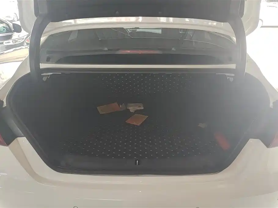 GEELY AUTOMOBILE BINRUI