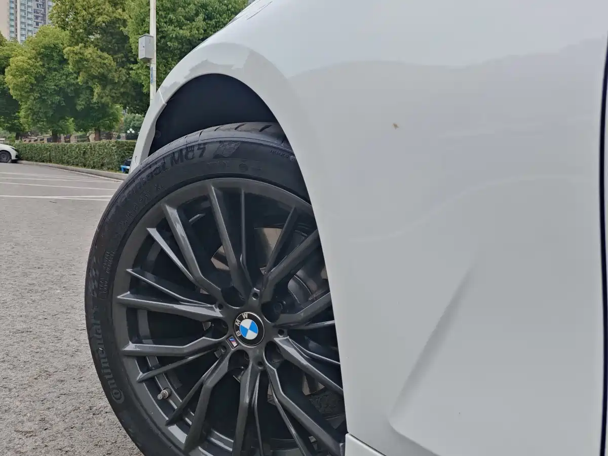 BMW 3 Series 2020 325Li M Sport Black Night Package фото 8