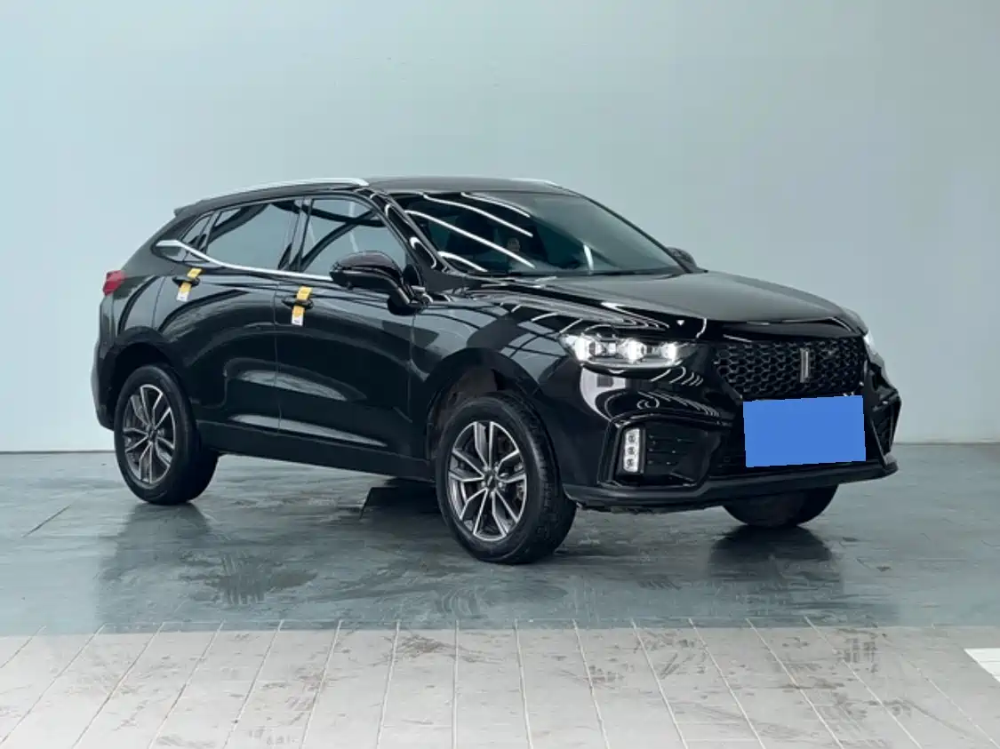 WEI PAI WEI BRAND VV5