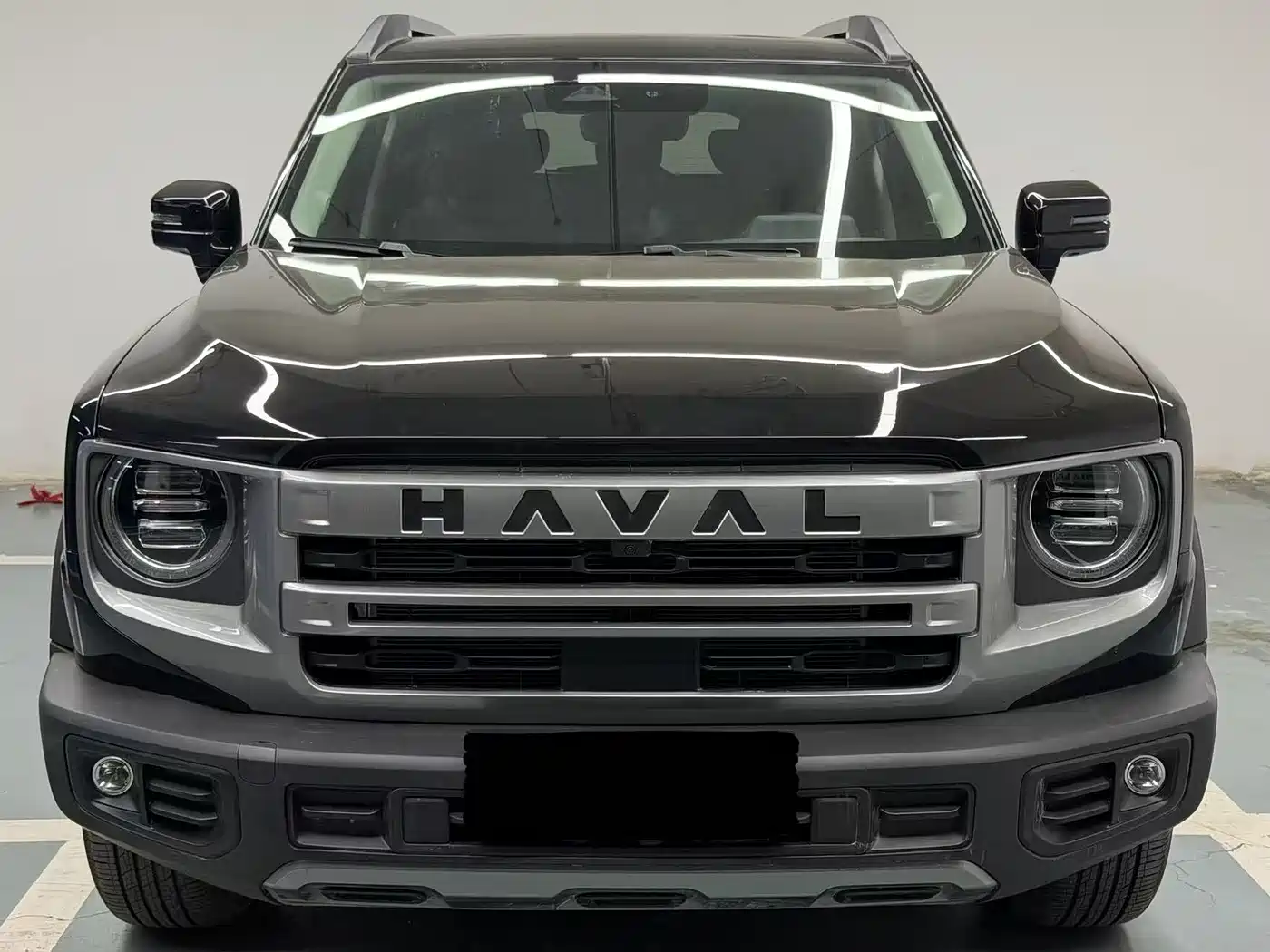 HAVAL BIG DOG