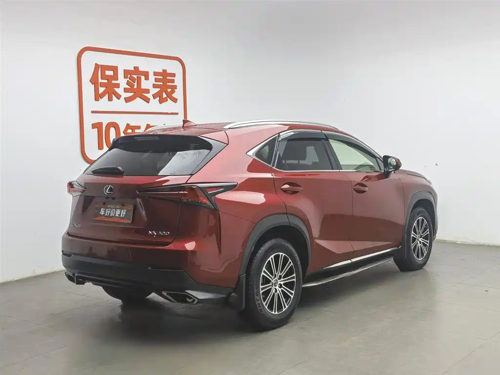 Lexus NX 2018 Model 300 FWD Fengxing Edition фото 2