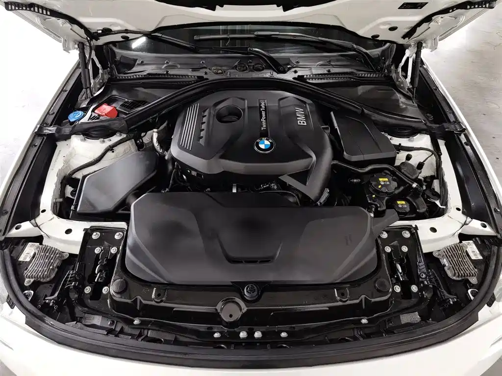 BMW 3 Series GT 2020 320i M Sport Package фото 6