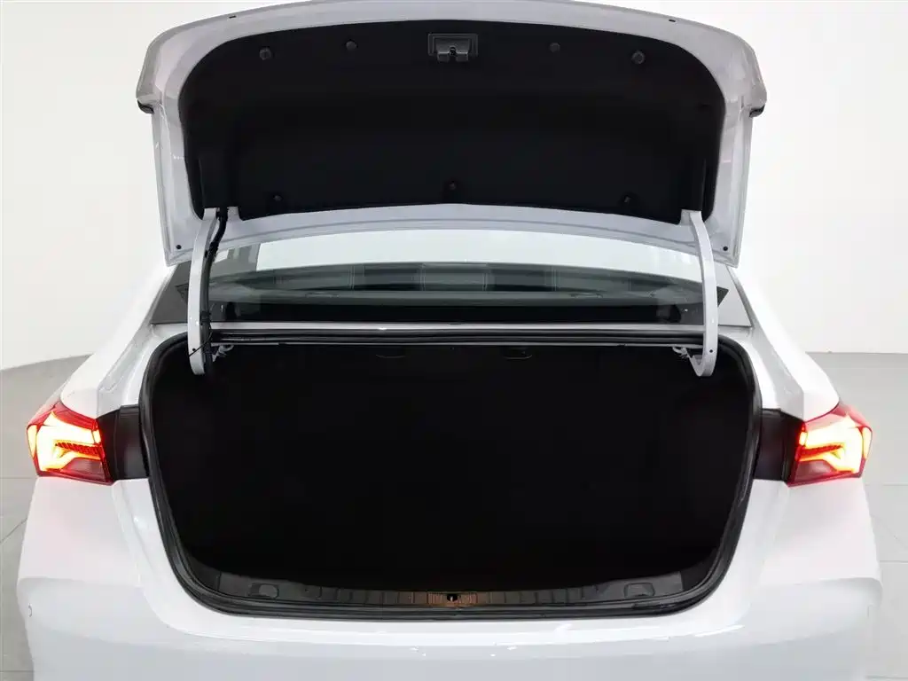 BUICK WEILANG