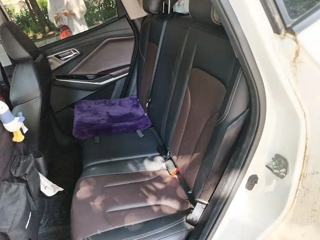 Changan CS15 2019 2019 1.5L Manual Progressive China V