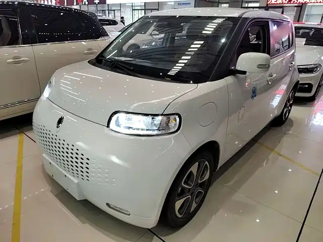  Ora Ora White Cat 2020 305km Luxury