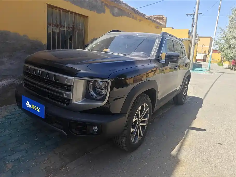 Haval Big Dog 2024 1.5T DCT Border Collie Edition