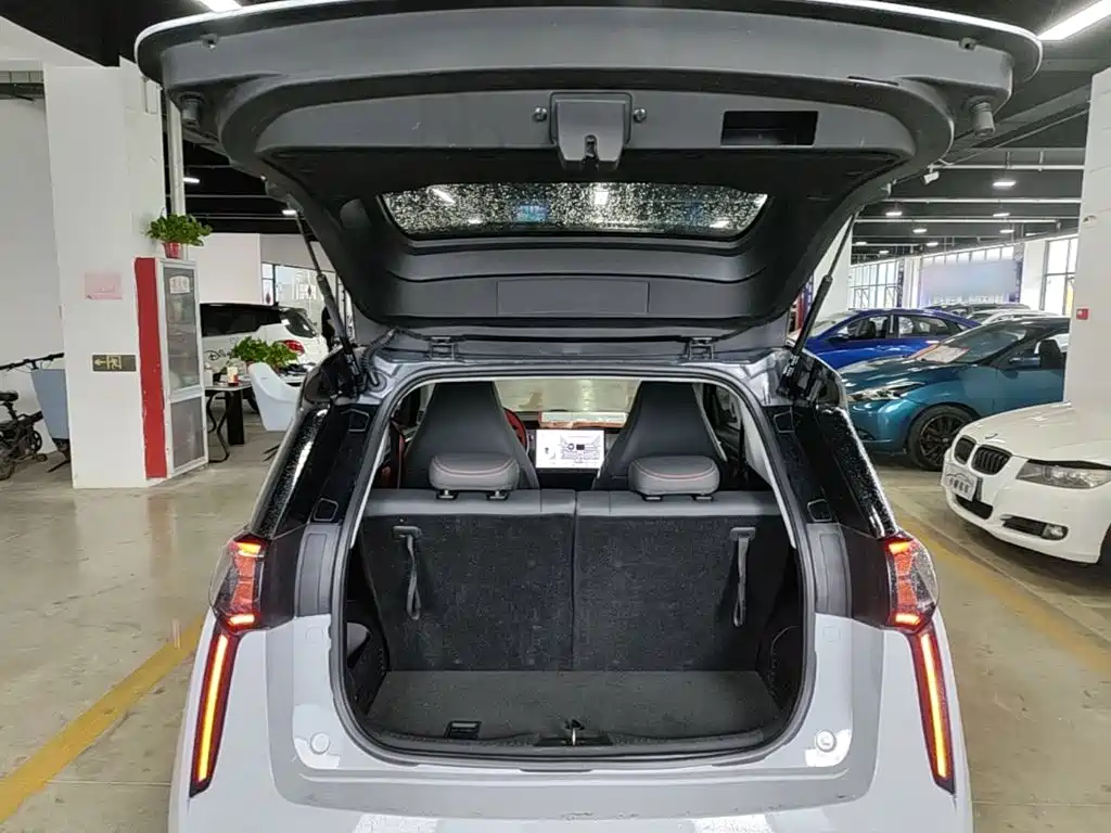 Chery New Energy Chery Wujie Pro 2023 2022 301km Mythical Beast Edition LFP