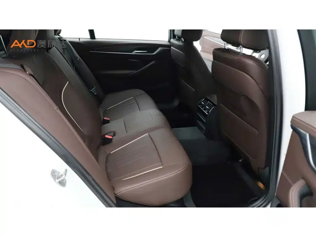 BMW 5 Series 2022 Model Second Facelift 530Li Leading M Sport Package фото 8