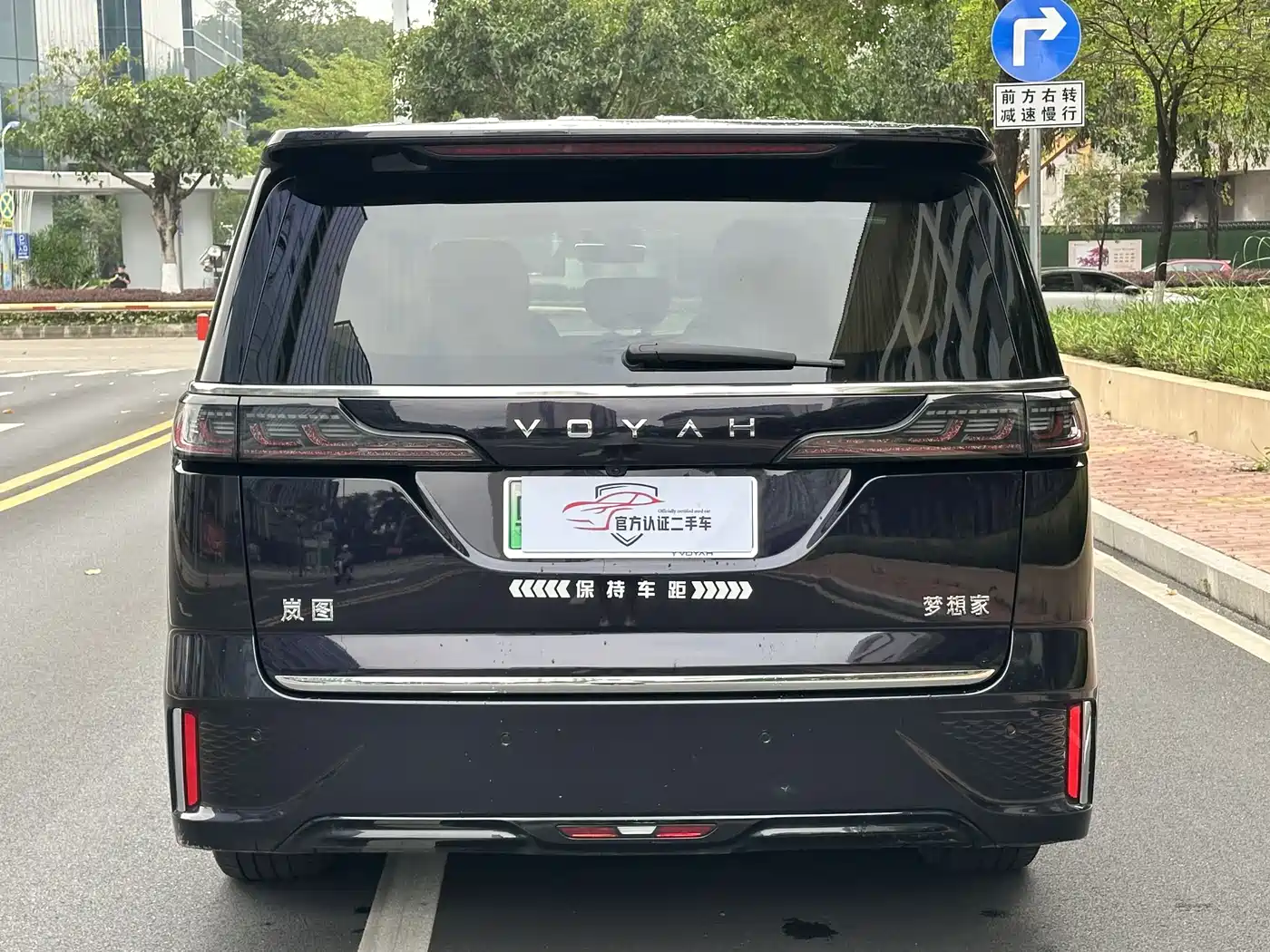 Voyah Auto Voyah Dreamer 2022 Low-carbon Edition Think+Smart Driving Package фото 5