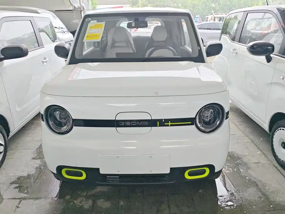 2026 Geely Galaxy Panda