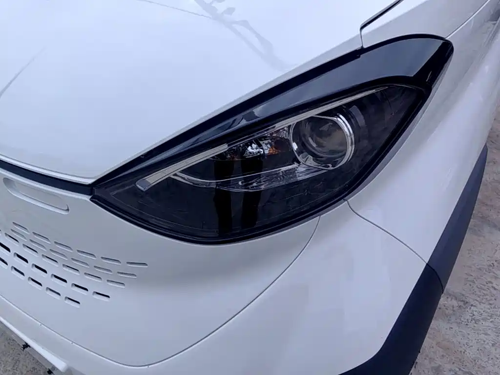 Baojun E100 2019 2019 250KM Smart Edition