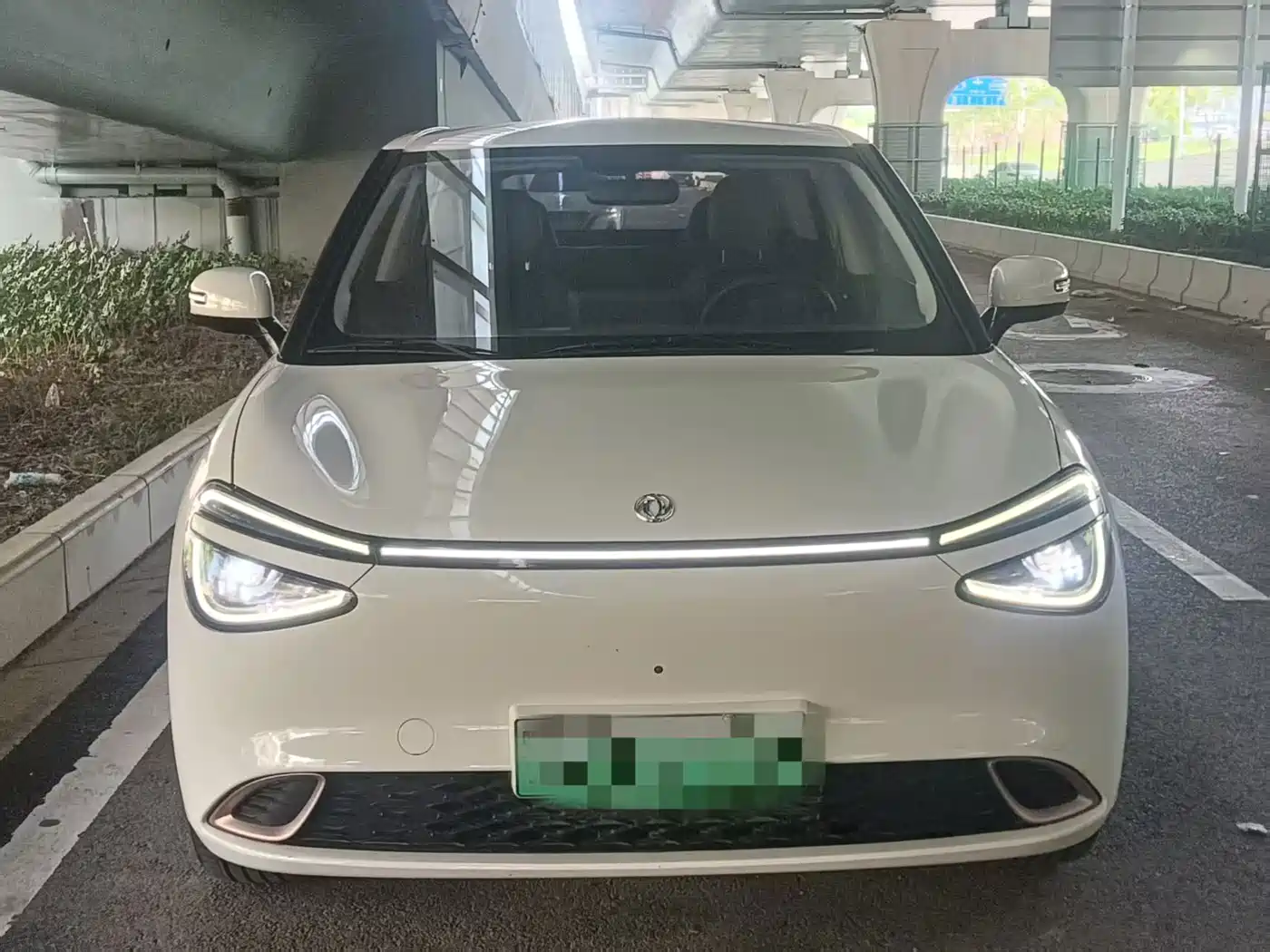 Dongfeng Yipai Nano 01 2025 2024 Renewal Edition 430 Plus Smart+