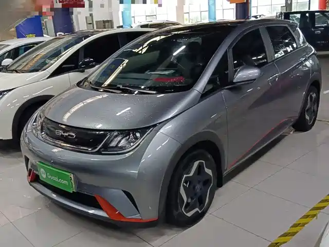 BYD Dolphin 405km, Стиль