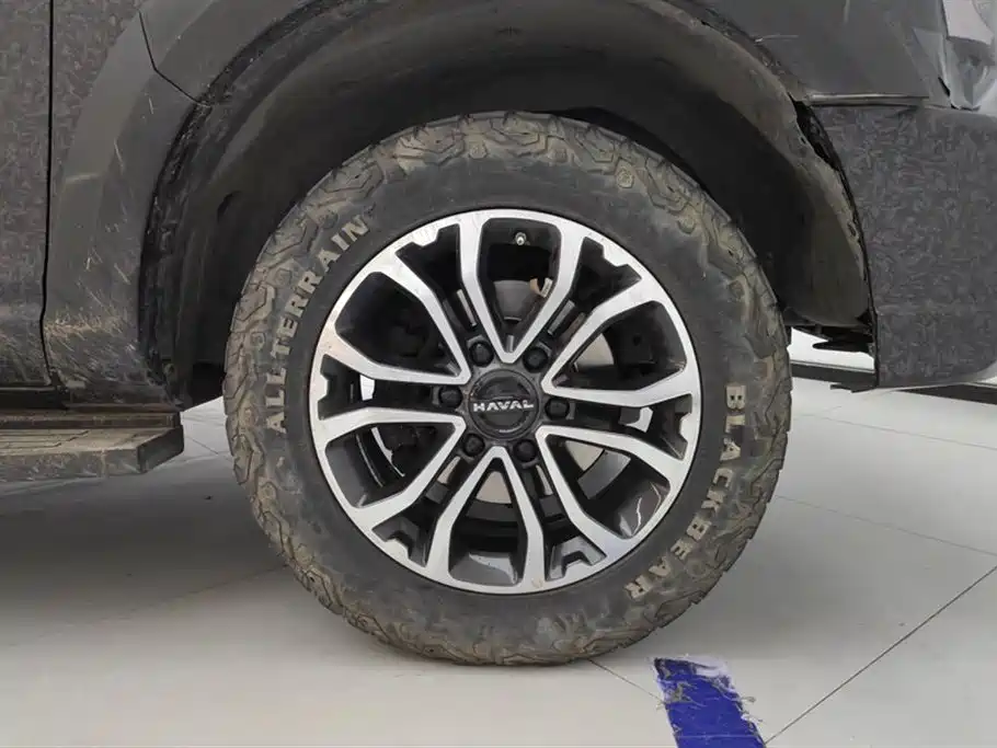 Haval H5 2023 2.0T Automatic 2WD Elite Edition Petrol фото 6