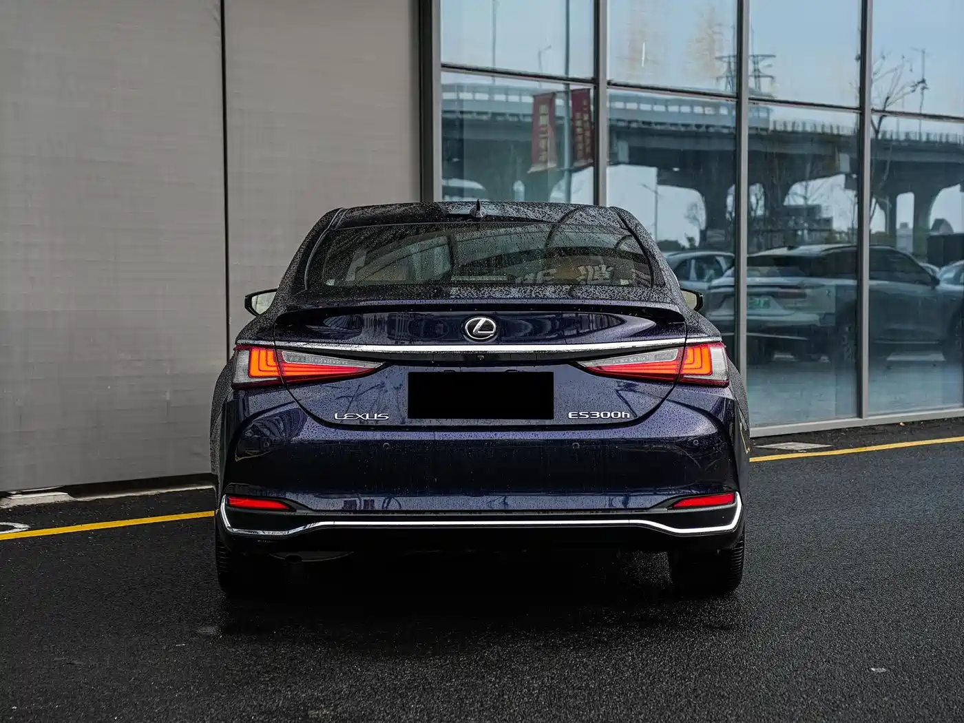 Lexus ES 2022 300h Excellence Edition фото 5