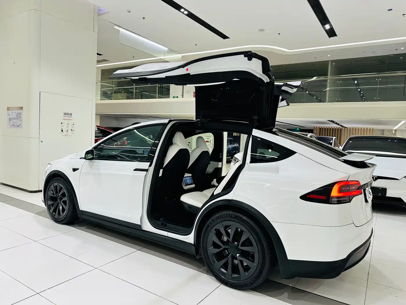 Tesla Model X 2023 2023 Dual Motor All-Wheel Drive Edition