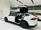 Фото 20 - Tesla Model X
