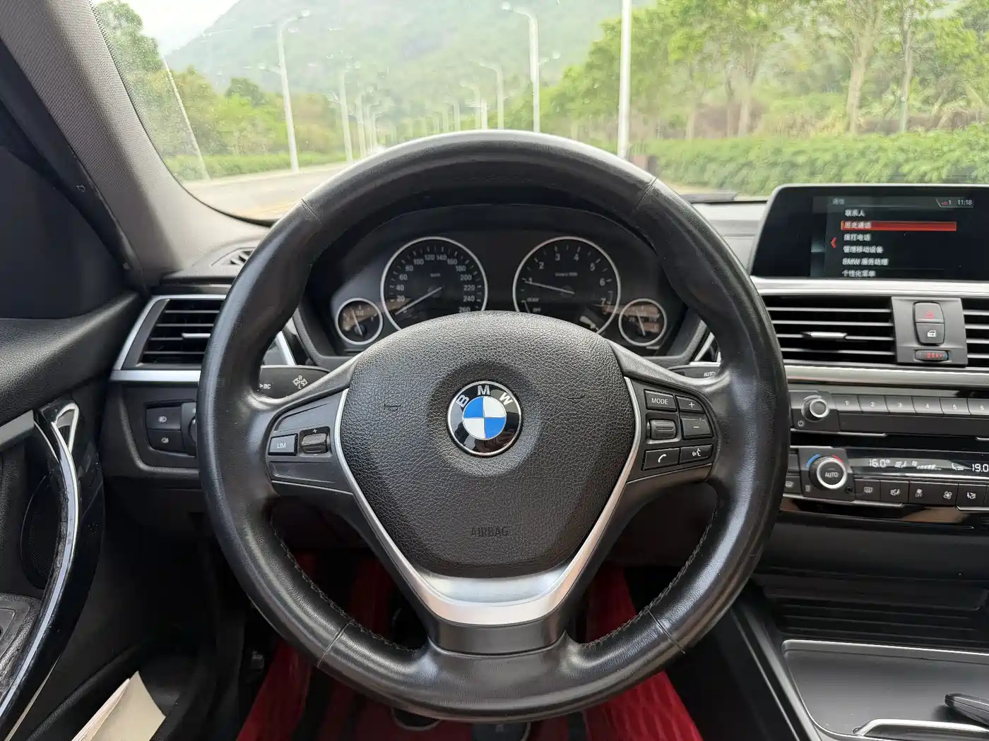 BMW 3 Series 2018 318Li фото 15