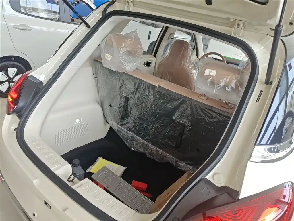 Wuling Motors Wuling Bingo 2026 2025 Model 333km Joy Edition