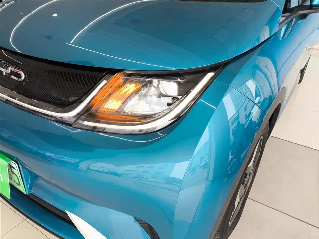 BYD Dolphin 2021 Model 405km Fashion Edition фото 16