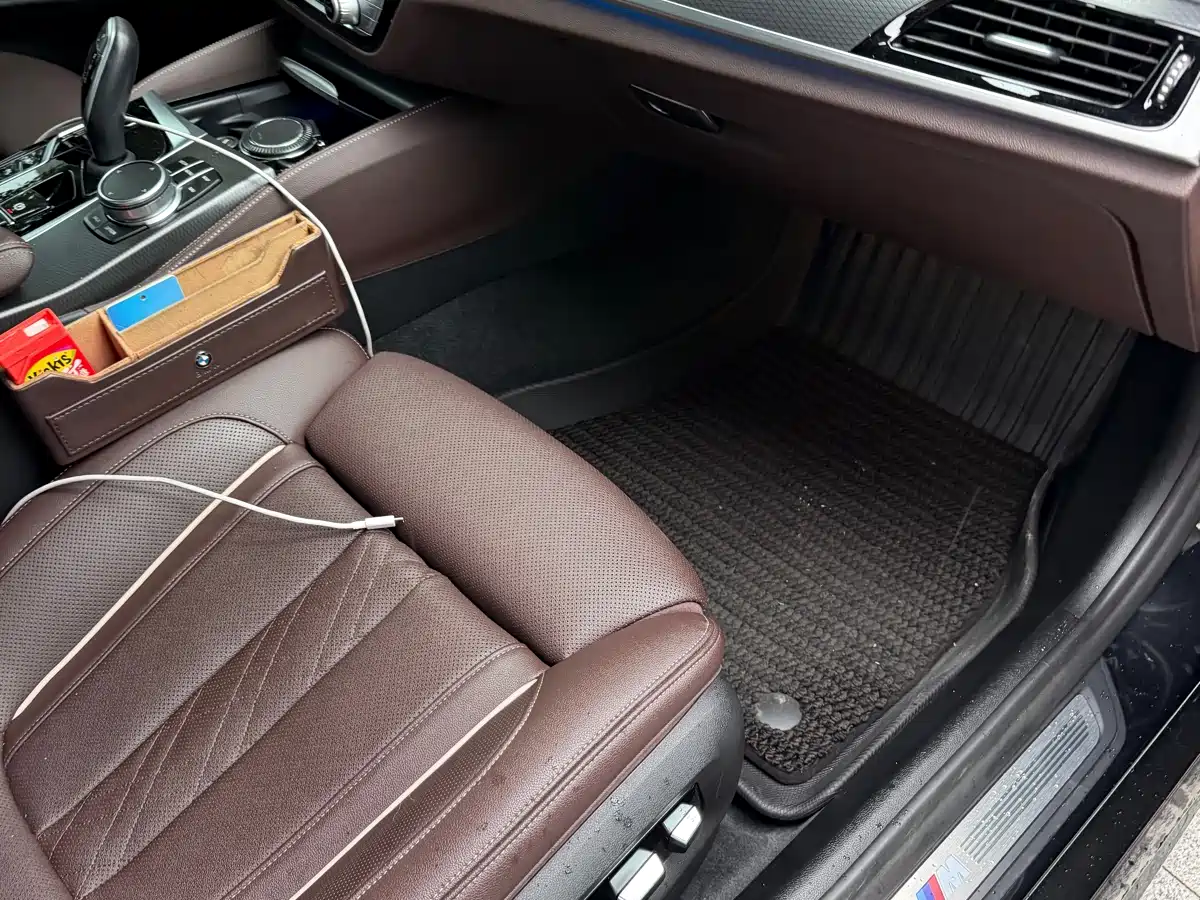 BMW 5 SERIES NEW ENERGY