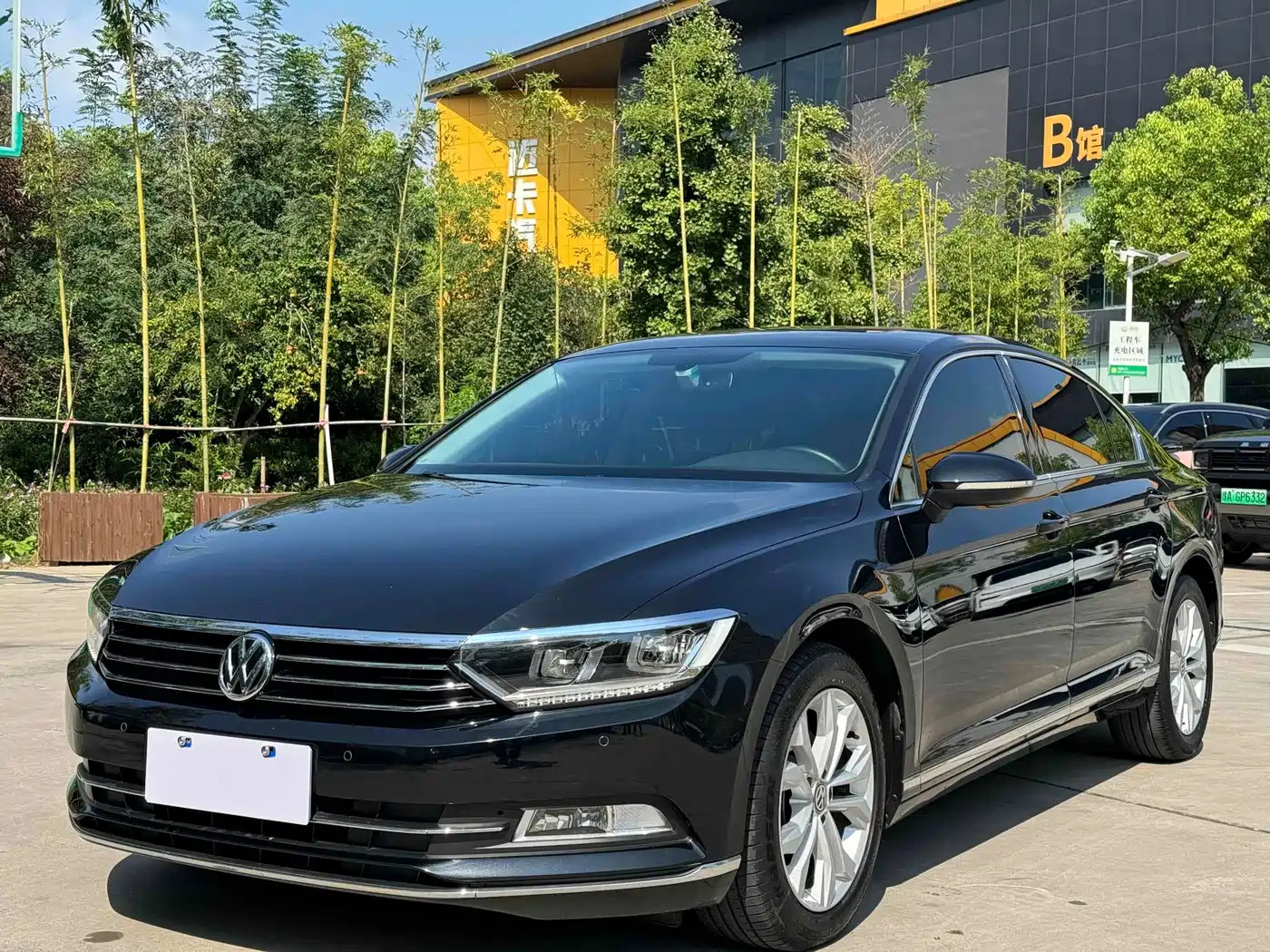 Volkswagen Magotan 2019 330TSI DSG Luxury Class China VI