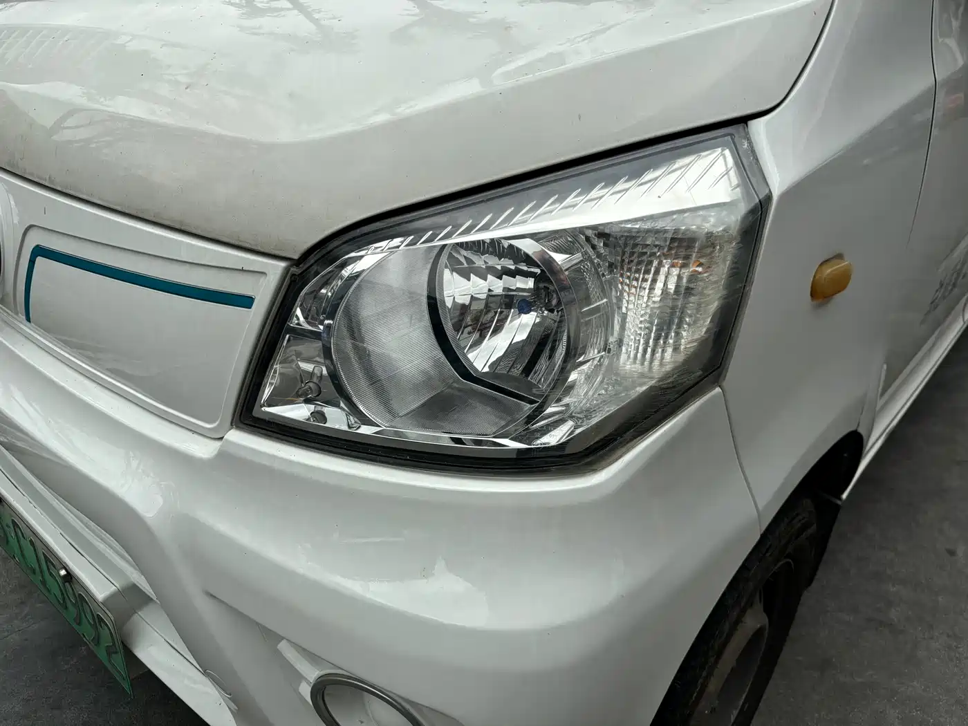 GOLDEN DRAGON SEA LION NEW ENERGY