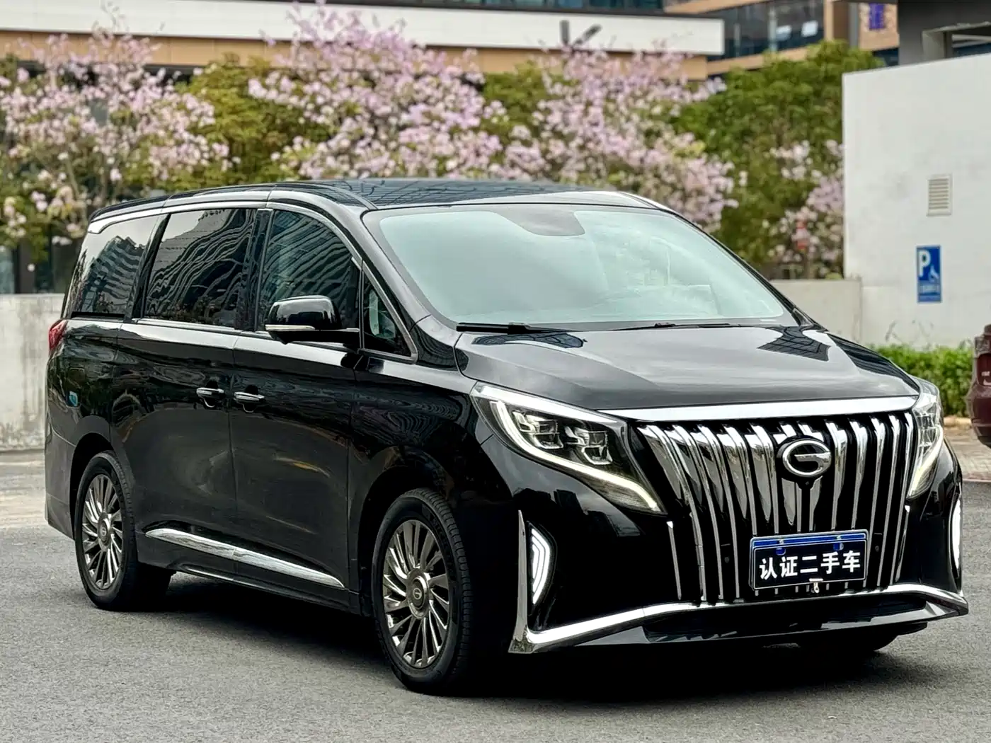 GAC Trumpchi Trumpchi M8 2021 Leading Show Series 390T Ultimate Edition фото 3
