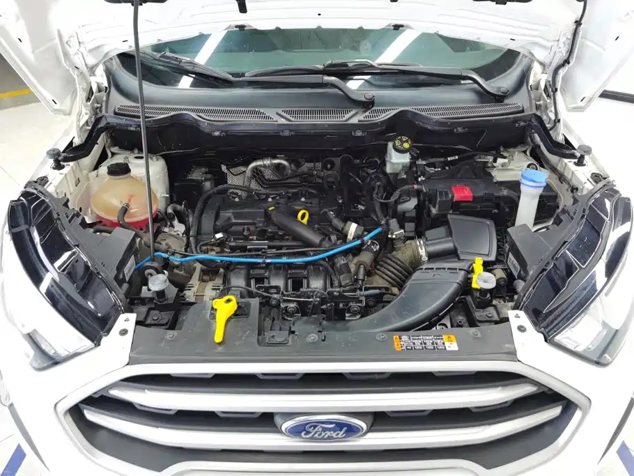 Ford EcoSport 2018 2018 1.5L Automatic Platinum Wing