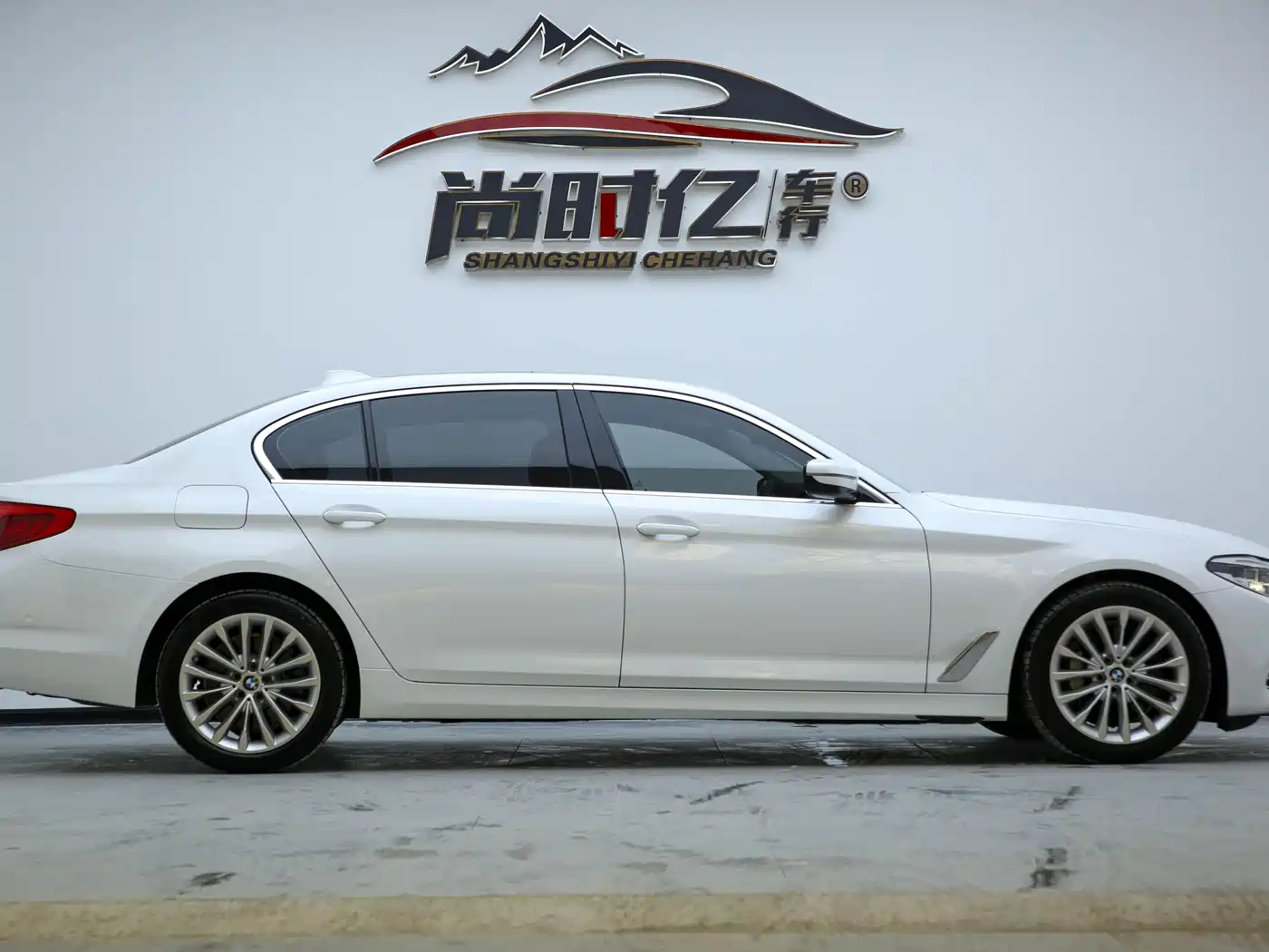 BMW 5 Series 2020 530Li Leading Luxury Package фото 5