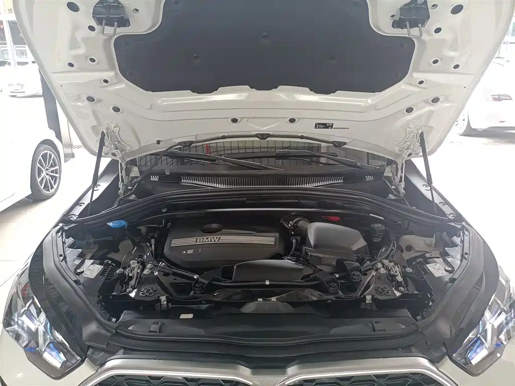 BMW X2 (Import) 2024 sDrive25i M Sport Package фото 19