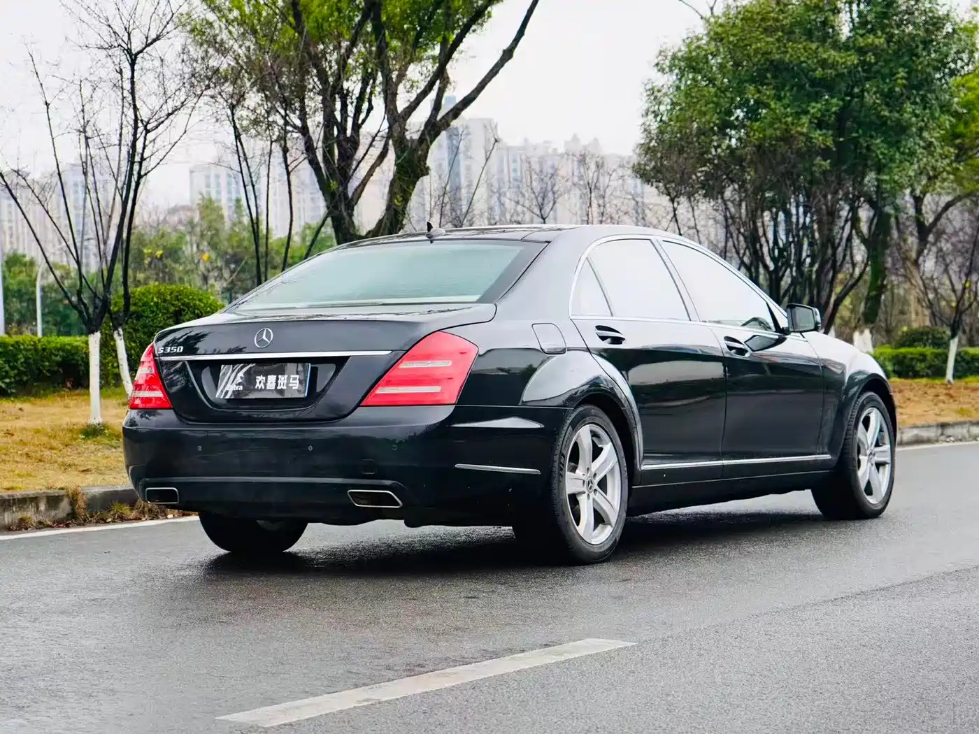 Mercedes-Benz S-Class 2010 S 300 L Premium фото 5