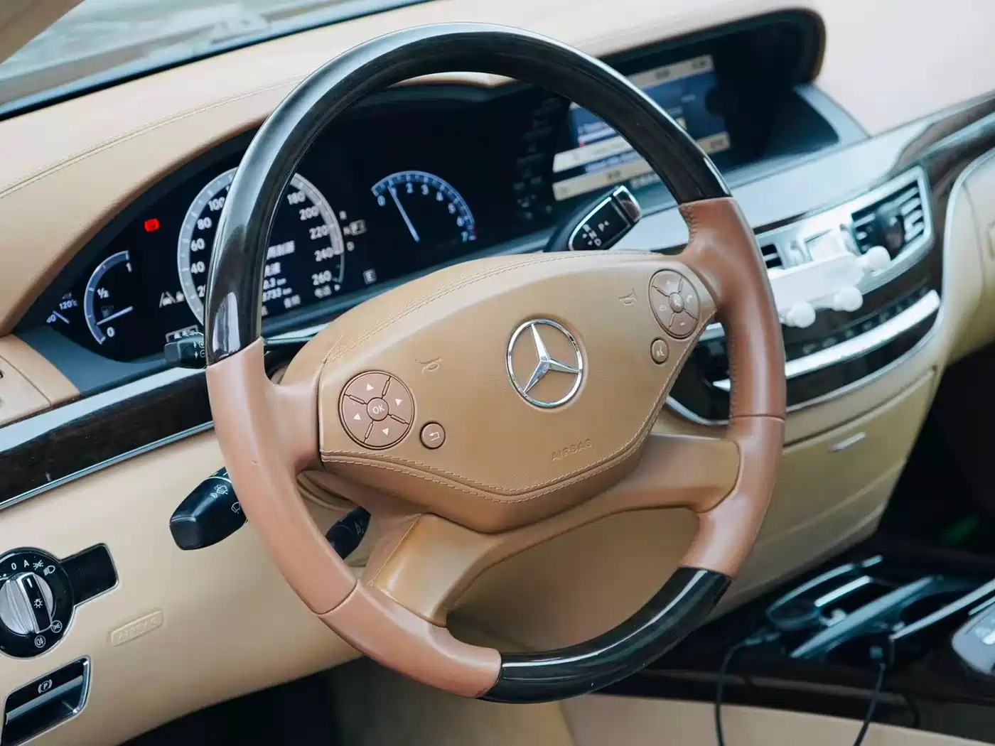 Mercedes-Benz S-Class 2010 S 300 L Premium фото 7