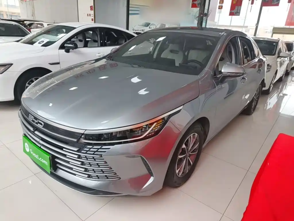 BYD Destroyer 05 2025 2024 Glory Edition DM-i 55KM Luxury