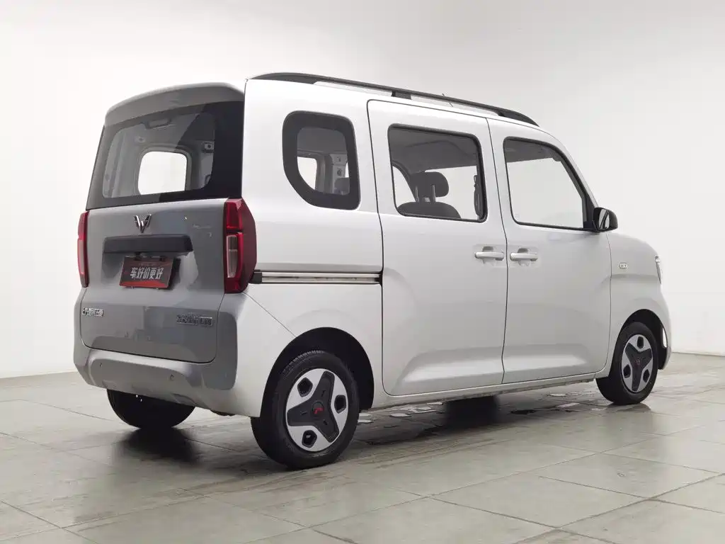 Wuling Motors Wuling Zhiguang NEV 2025 2025 Model 305km Base Version